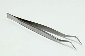 豊洲の産婦人科で女性医師が在籍