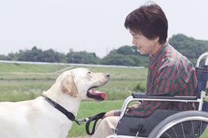 2025年最新｜久留米市で選ばれる歯医者トップ10と安心の治療ポイント