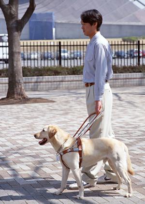 有田市で選ばれる歯医者を徹底解説！最新2026年版の安心・丁寧な治療ガイド