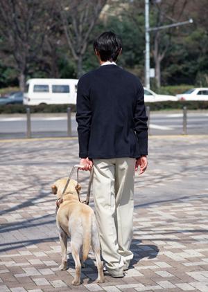 非常に充実している葛飾区の内科