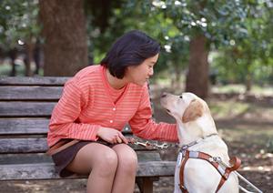 患者に一番最適な芦屋市の審美歯科