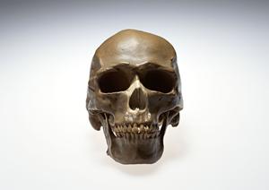 歯の矯正をお願いする歯科の選び方とは