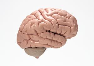 堺市でインプラント治療を行う歯医者