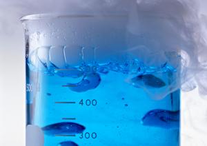 波動医学の可能性を探る： 健康管理と美容への新たなアプローチ