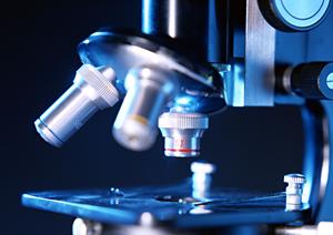 小児歯科治療のポイントと豊洲地域のおすすめ歯医者をご紹介