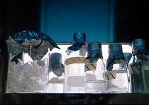 新宿の循環器内科を徹底解説！健康診断から心臓病予防まで知っておくべきポイント